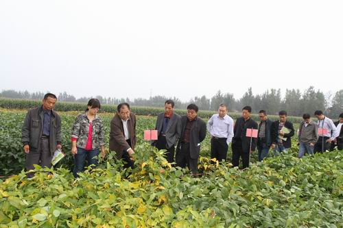 陜西農(nóng)墾大華種業(yè)有限責任公司舉辦大豆新品種觀摩及技術(shù)培訓(xùn)會