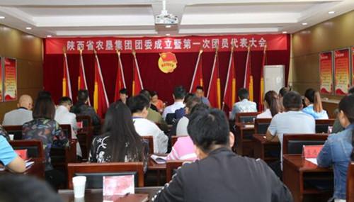 省農墾集團召開團委成立大會暨第一次團員代表大會