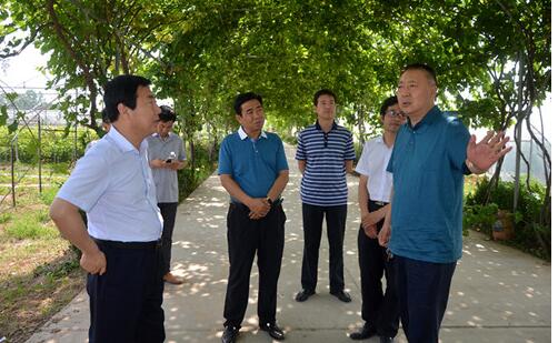 翟玉寶縣長來省直農(nóng)墾大荔農(nóng)場(chǎng)調(diào)研墾地共建工作