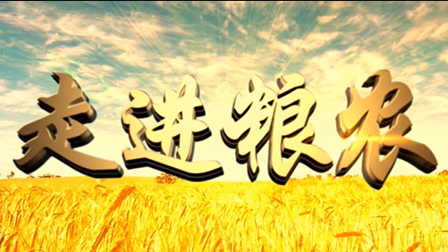 4分鐘，閱讀奮斗崛起中的糧農(nóng)集團(tuán)！